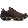 imageOboz Mens Sawtooth II Low BDry Hiking ShoeWalnut