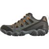 imageOboz Mens Sawtooth II Low BDry Hiking ShoeShawdowBurlap